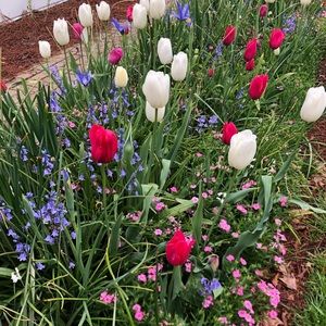 Meet your Posher, Lesley